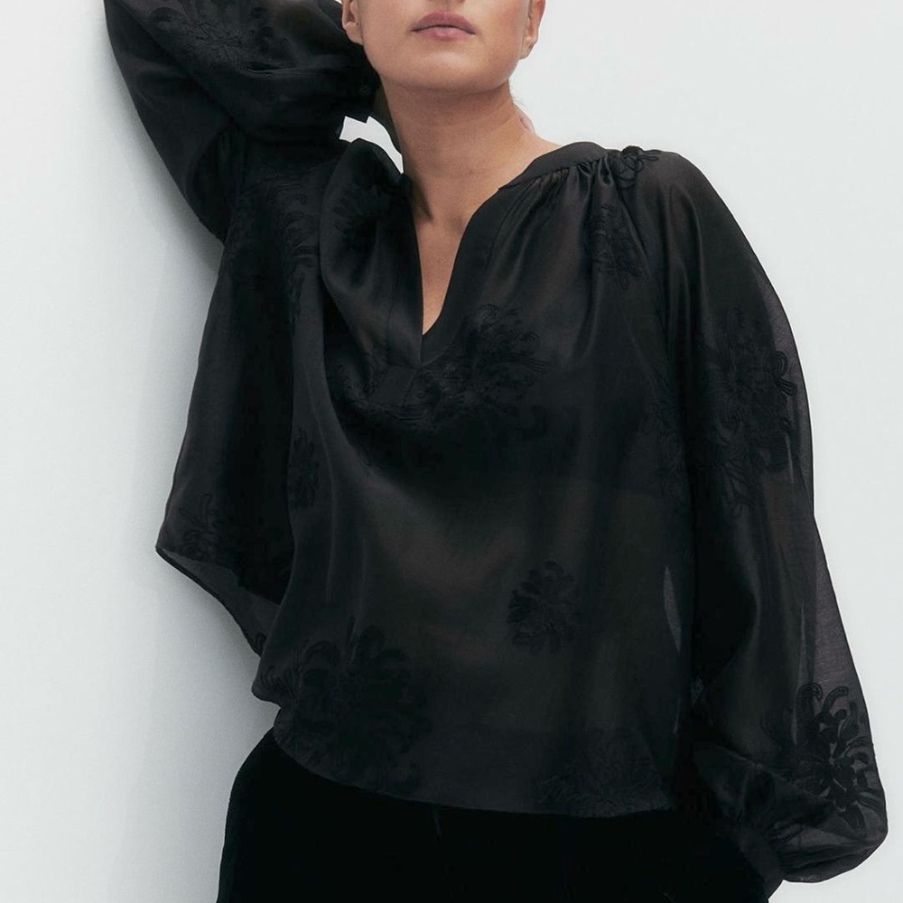 H&M Embroidered Lyocell Blend Sheer Blouse Balloon Sleeves V-neckline Size XS